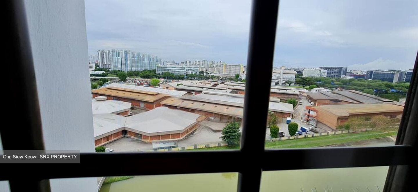 Blk 14A BOON KENG VILLE (Kallang/Whampoa), HDB 4 Rooms #469172051